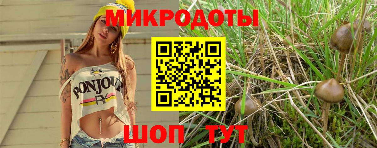 Ленинск-Кузнецкий  Галлюциногенные грибы Magic Shrooms  Вход с VPN 