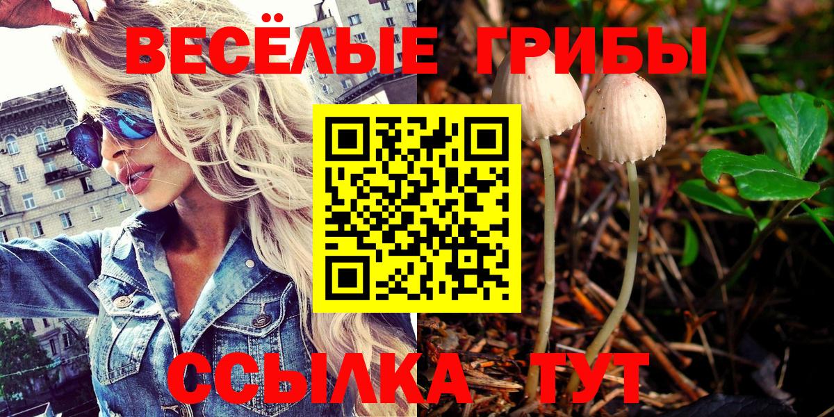 Псилоцибиновые грибы Cubensis Ленинск-Кузнецкий